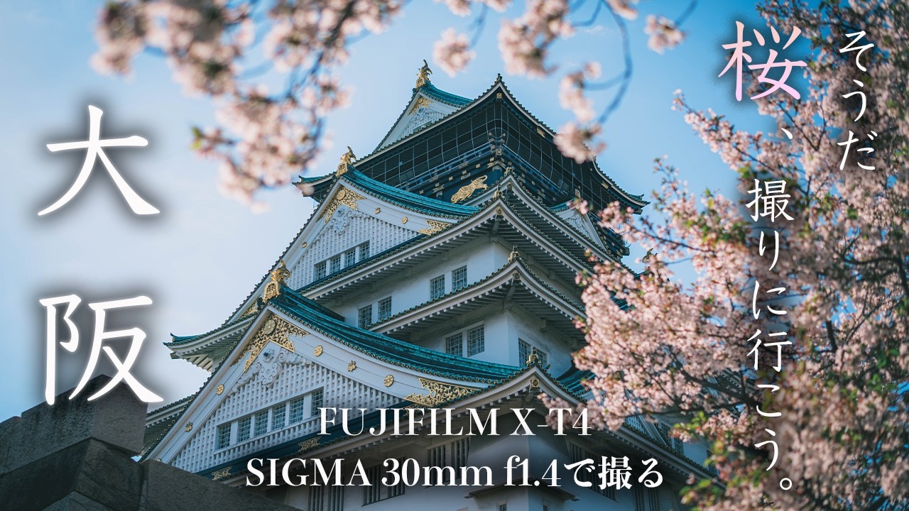 Let's Go Shoot Cherry Blossoms! Feeling Spring at Osaka Castle