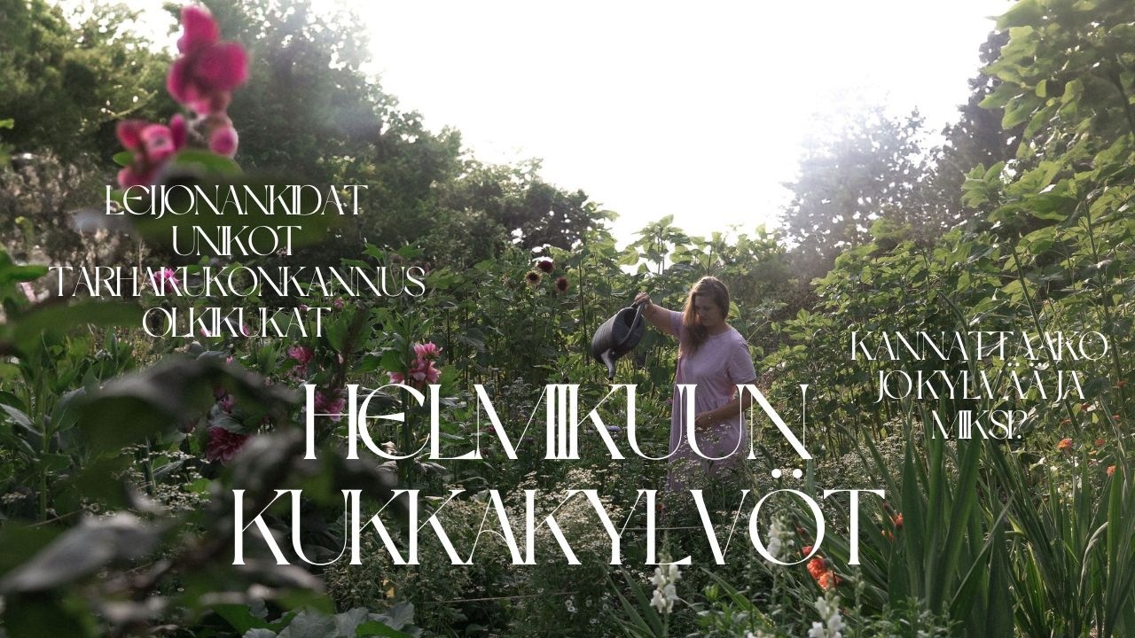 Voiko kukkia kylvää jo helmikuussa? Näin teen itse