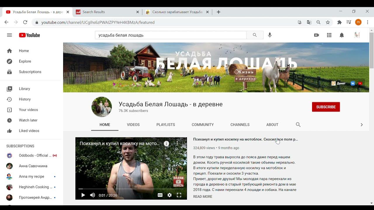 белая лошадь киреевский район. усадьба белая лошадь в деревне. усадьба белая лошадь горномарийский район.