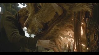 ملخص فيلم Fantastic Beasts مدبلج معاه شنطه سحرية بتخرج منها شب جزء ‏ثاني