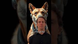 sneaky doge alert: Elon Musk's xAI has been caught using a shiba inu profile picture while silently sneaky doge alert: Elon Musk's xAI has been caught using a shiba inu profile picture while silently