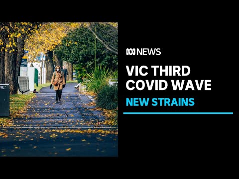 Victorian health authorities warn of new COVID-19 wave | ABC News