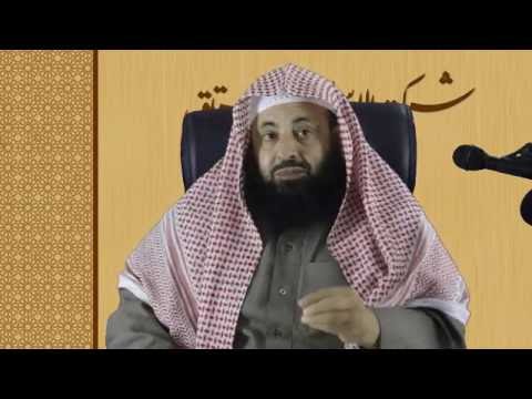 التعليقات على كتاب فتح رب البرية بتلخيص الحموية للإمام محمد بن عثيمينن د عبدالعزيز الريس