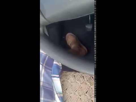 Шымкент! Рейд против "Бородатых", ОПМ - "Сакалыларга"!