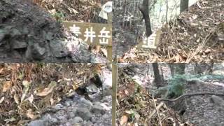 マイ ムービー青井岳