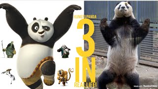 Kung Fu Panda 3 Characters In Real Life