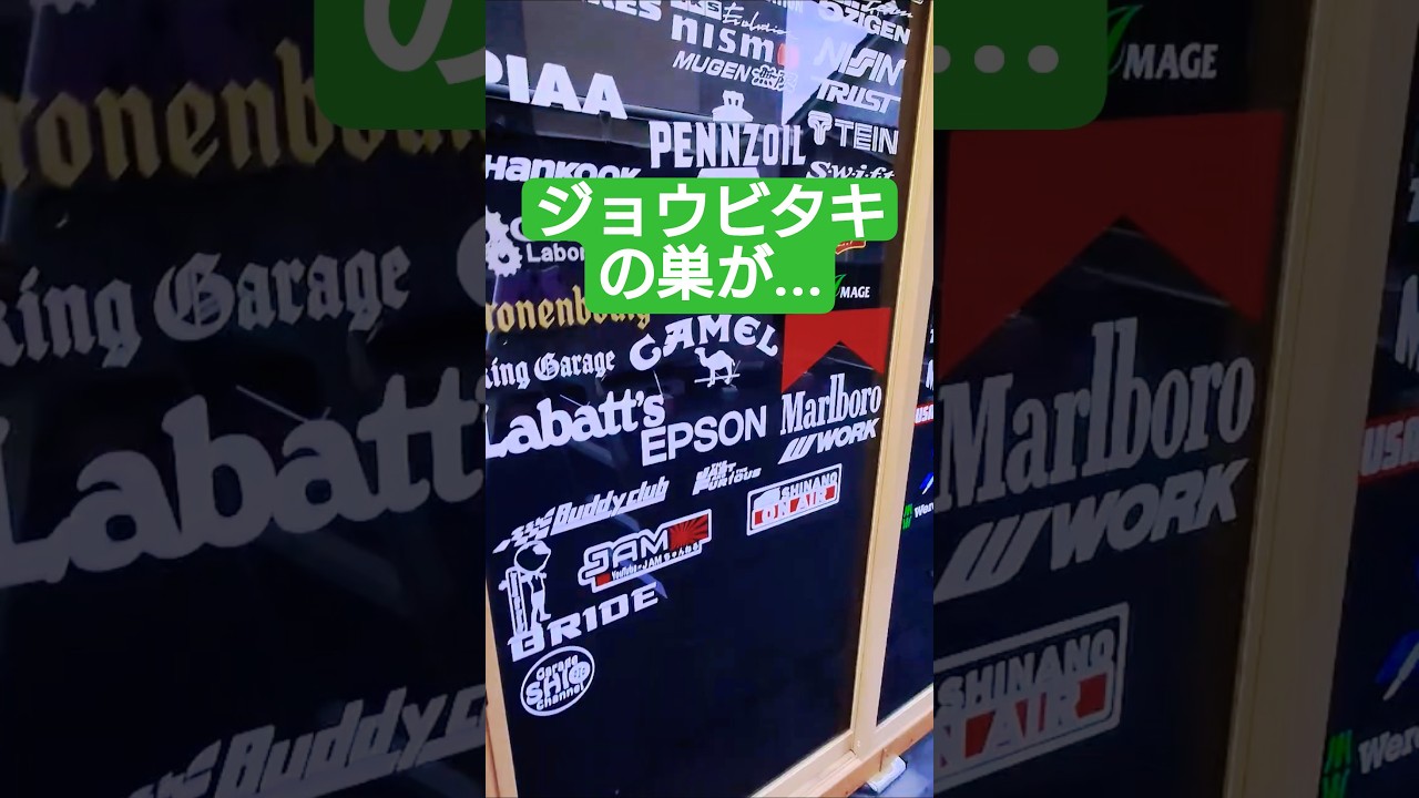 昨年巣立ったジョウビタキが帰って来た