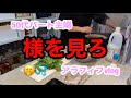 【アラフィフvlog】「ざまぁ」と心の中でひとりごと🤫／しまむら購入品