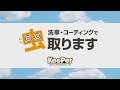 車に付いた虫取ります。しかもコーティングを傷めません。