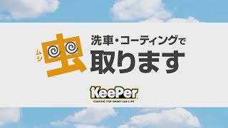 車に付いた虫取ります。しかもコーティングを傷めません。