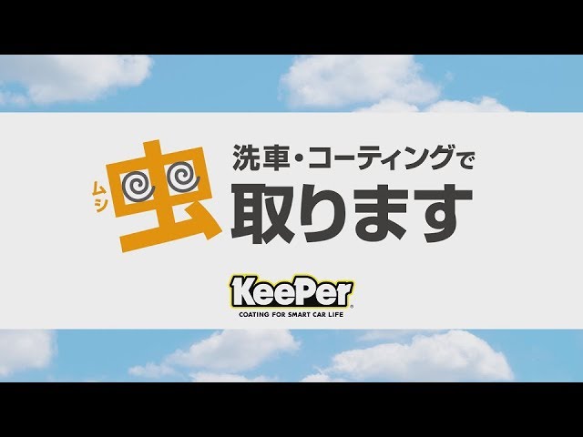 車に付いた虫取ります しかもコーティングを傷めません Youtube