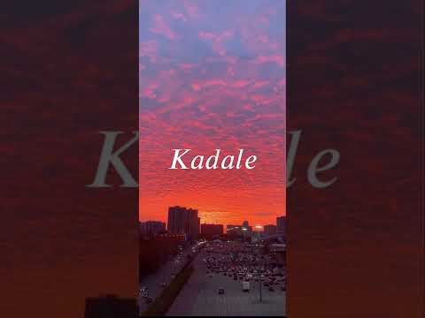 @dardan Kadale/Speed up