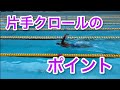 【初級】クロール上達のための片手クロールとは？