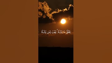 لِلَّهِ مُلْكُ السَّمَوَاتِ وَالْأَرْضِ سورة الشورى رعد الكردي حلات واتس اب #راحة_نفسية #لايك