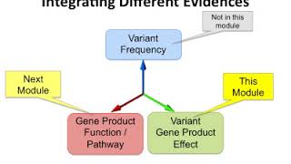 Pathway Analysis and Biological Interpretations Part 1