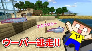 ウーパールーパーに逃げられた！カメに水槽を占拠され絶体絶命！！【やまぐっちのマイクラウーパールーパー生活＃4】