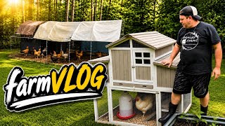 🐔 I Finally Moved ALL My Chickens to the New Homestead! | Weekly Homestead Vlog