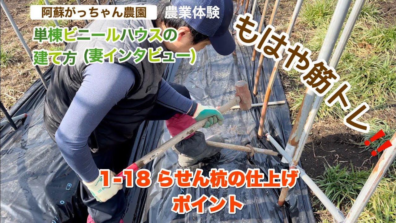 らせん杭の仕上げとポイント【単棟ビニールハウスの建て方】【妻目線