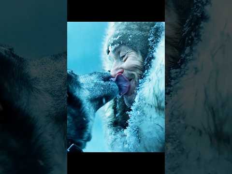 Togo (2019) | True Story of Heroism: Sled Dog Pulls Team Across Breaking Ice 🐾❄️💥