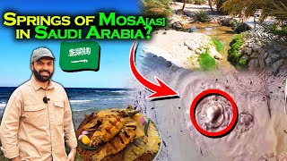 12 Springs of Prophet Moses[AS] Maqna, ist Real one ? 🇸🇦| Saudi-Egypt Border & 😋 Fish 🐟 Ep05