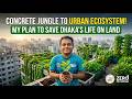 How to Save Our Concrete Jungles | SDG 15: Life on Land | Kholipha Ahmmad Al-Amin
