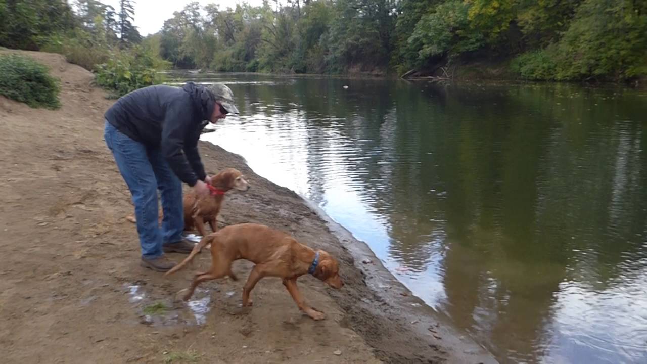 Clif learning water retreive