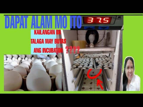 Video: Bakit mahalagang i-incubate ang TSI slant na may maluwag na takip?