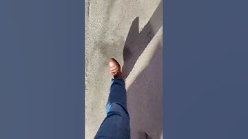 Start of the week as a mobile app developer