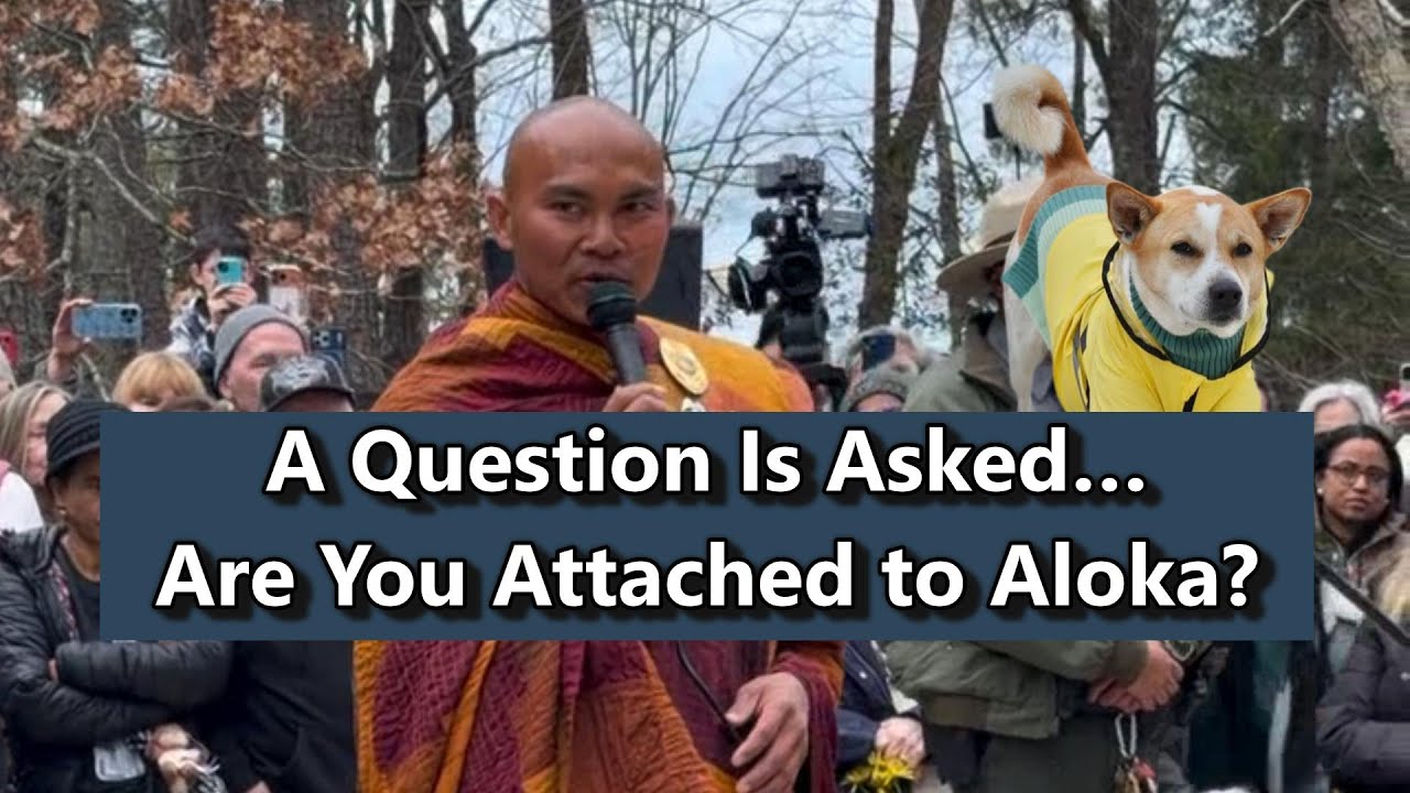 Задан вопрос… Вы связаны с Алокой?