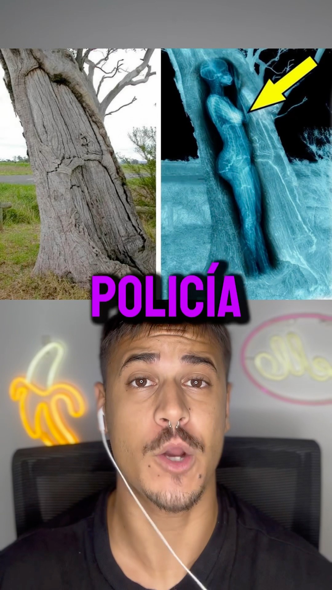 Perro Policía Siempre Ladraba Al Mismo Arbol, Lo Que Había Dentro Te Sorprenderá Parte 2 ? #shorts
