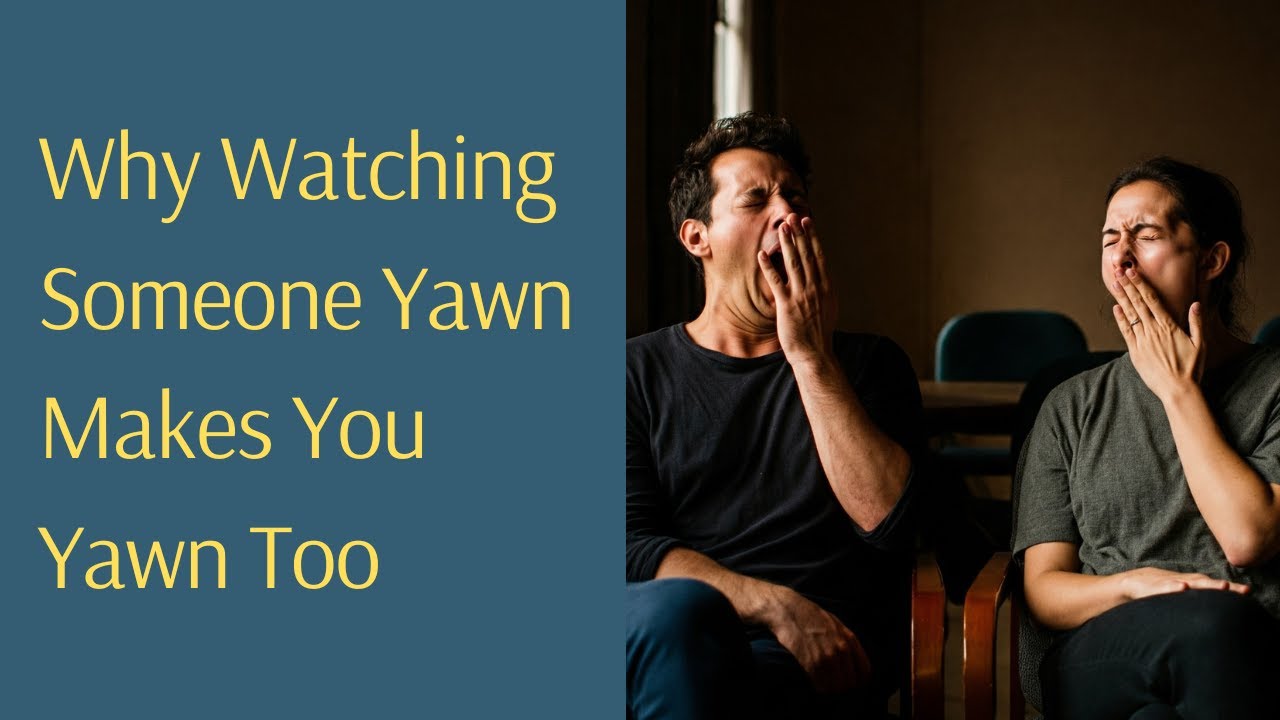 Why Watching Someone Yawn Makes You Yawn Too