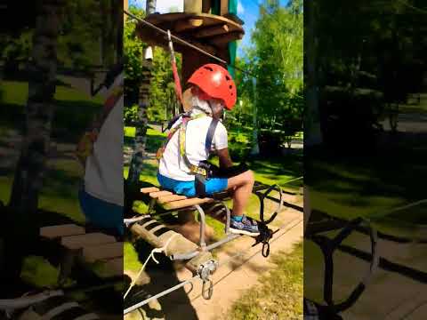 Катаемся на санках по деревьям. Канатная дорога для детей. #дети #игры #развлечения #гонки