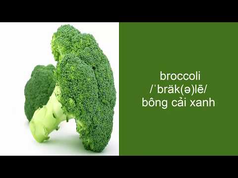 Video Từ vựng tiếng anh về rau củ quả - youtube