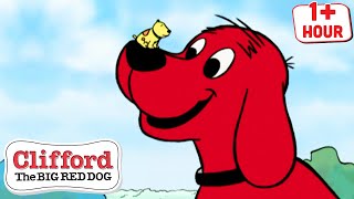 Everyone Is Special | Full Episodes | Cartoons for Kids | Clifford the Big Red Dog
