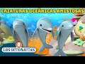 Los Octonautas - 🪸 Criaturas oceánicas amistosas 🐠 | Mes Antiacoso 🫶 | Episodios Completos