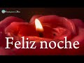 Feliz noche Lindo mensaje de buenas noches para ti que eres especial