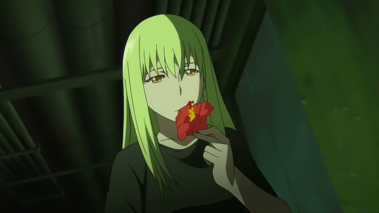 Darker Than Black Hei Vs Amber Fake Turkce Altyazili Youtube