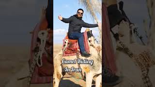 Camel Ride in Iran 🐪 Ride a camel and feel the joy 😍✨ #shortsvideo