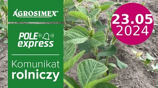 Jak skutecznie zwalczać chwasty po wschodach soi? - komunikat POLE express | Agrosimex