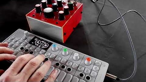 Bugbrand PT Delay + OP 1