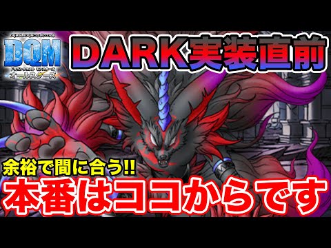 【DQM】本番はココからです!! DARK実装までに間に合う最高効率周回!!【ドラクエ】