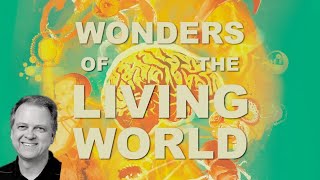 Wonders of the Living World: Jeff Hardin, Como você usa a bíblia em suas aulas?