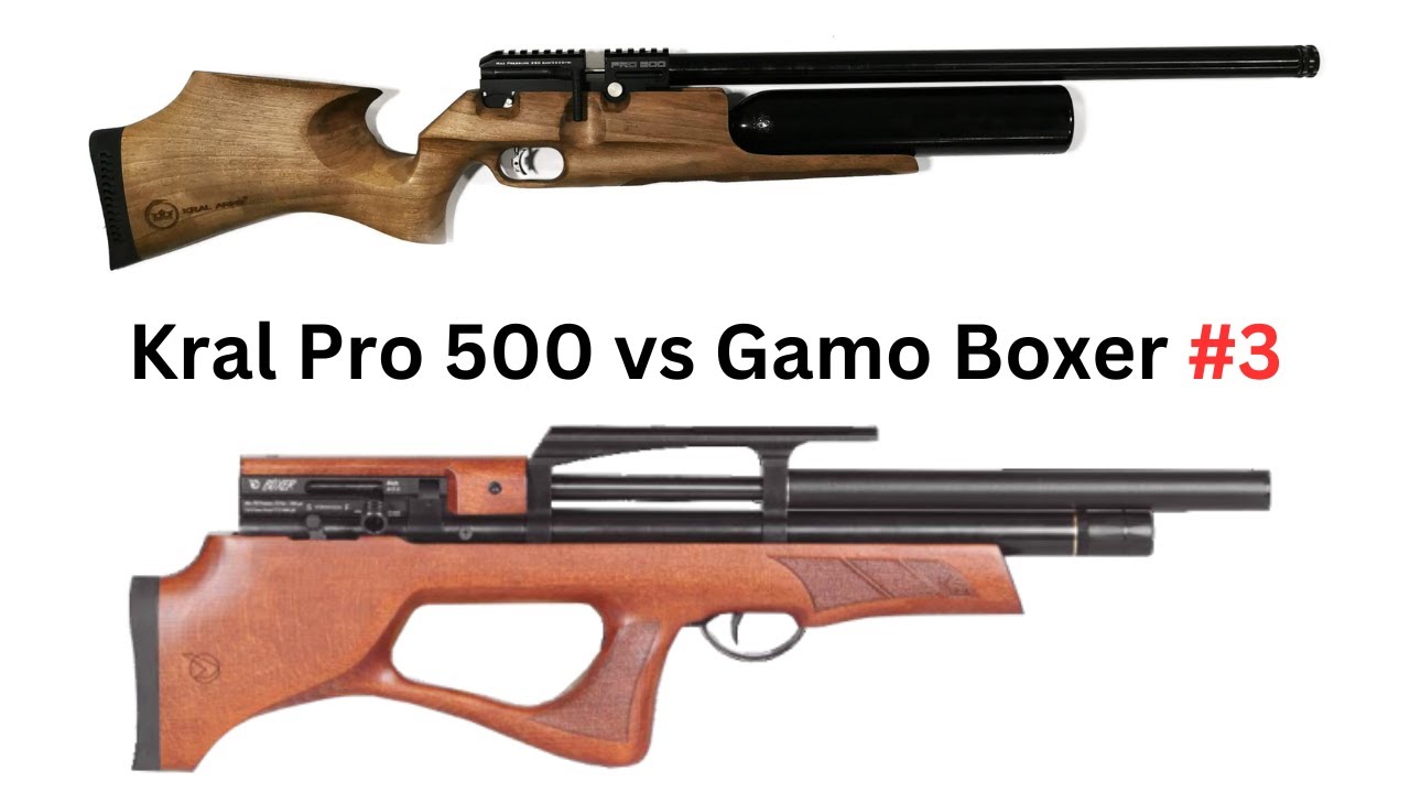 Kral Puncher 500 pro Vs Gamo Boxer