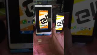 teamviewer host