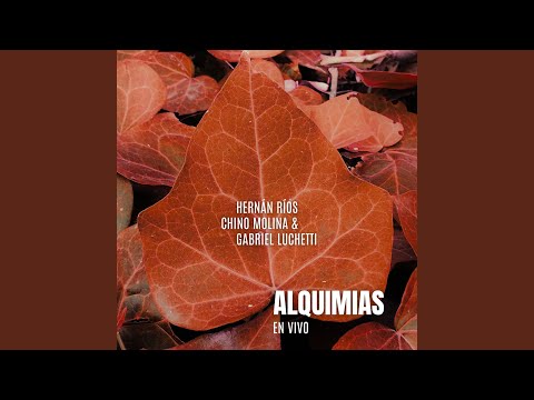 Palhaço (En Vivo) auf YouTube ansehen Palhaço (En Vivo) auf YouTube ansehen