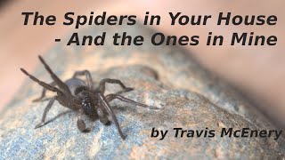 The Spiders in Your House  And the Ones in Mine