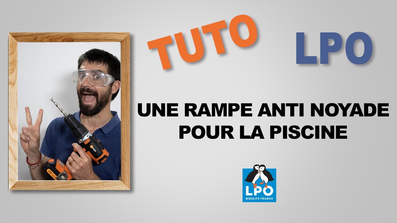 Rampe D'Évasion Pour Animaux De Piscine – Sauvetage Grenouilles, Écureuils, Souris – Tissu Oxford Flottant Anti-Noyade