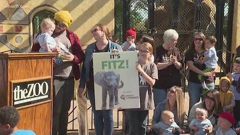 Fitz picked as name of baby elephant