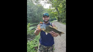 Intro to LunkerHunt Walking frog. 2 different days same Bait!