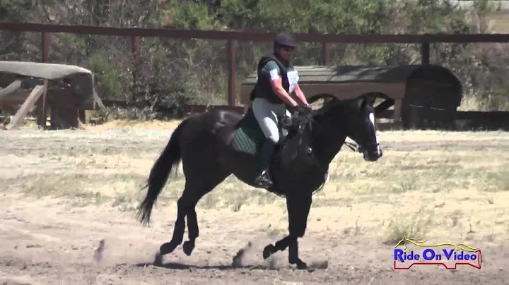 305XC Linda Betts on Willing Accomplice Senior Beg...